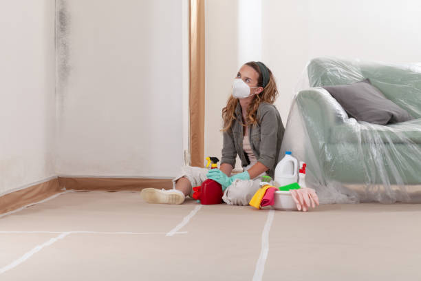 Reliable Mold Remediation contractor in Carlisle, PA by WQB Mold Removal